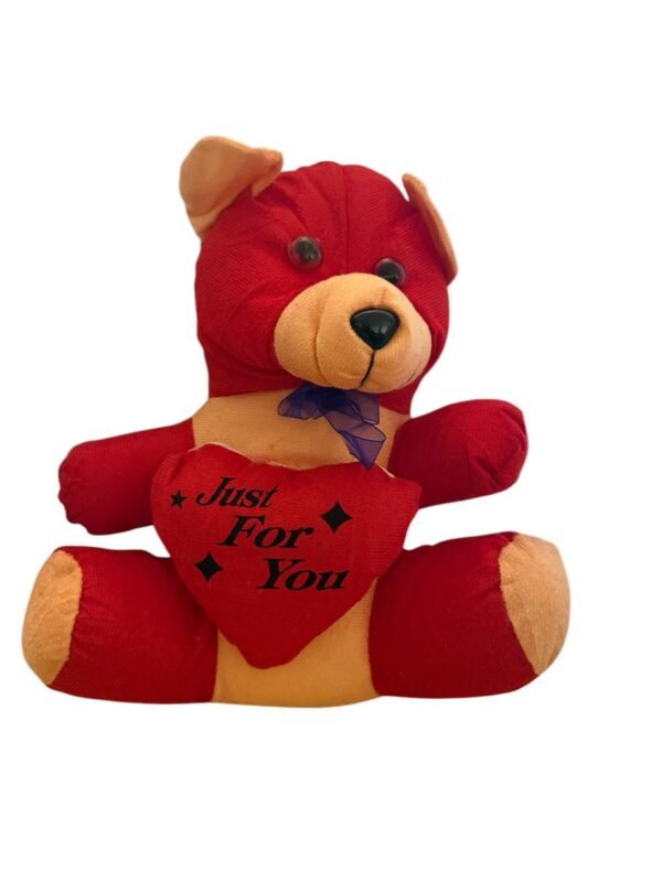 Heartwarming Valentine’s Day Teddy Bear