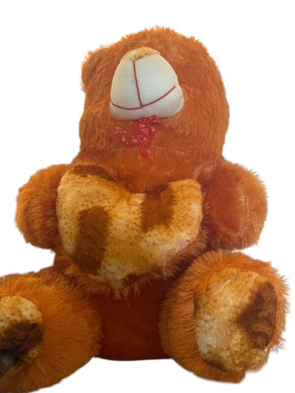 Bear Bliss Soft Teddy