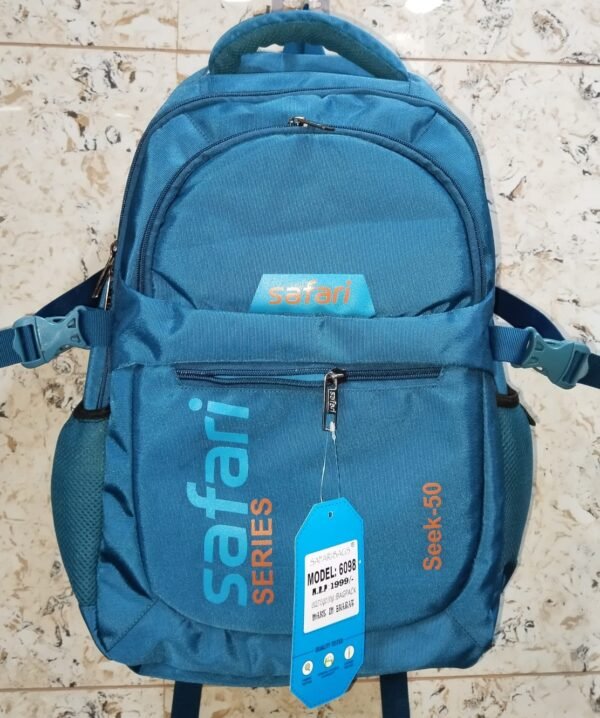 Small 20 L Backpack   (Blue)