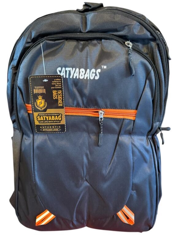 Satya Stylish Bag