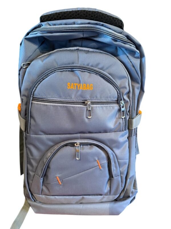 Satya Spacious Bag - Image 2