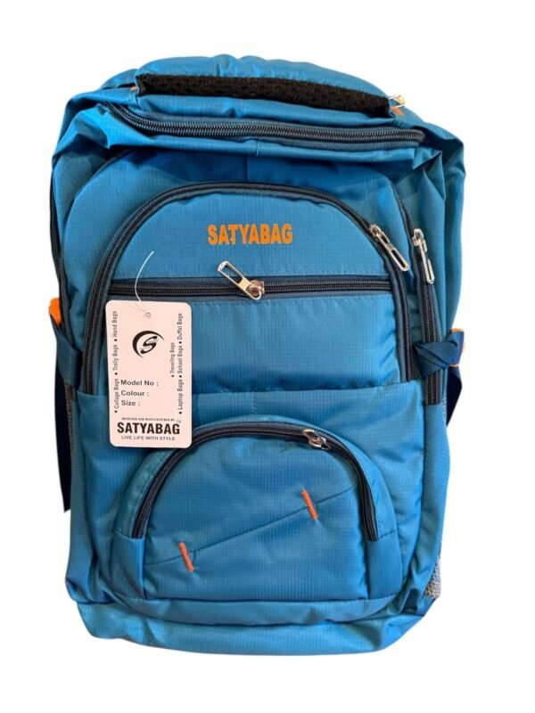 Satya Spacious Bag