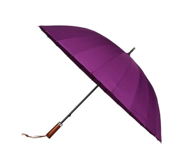 Umbrella - Image 3