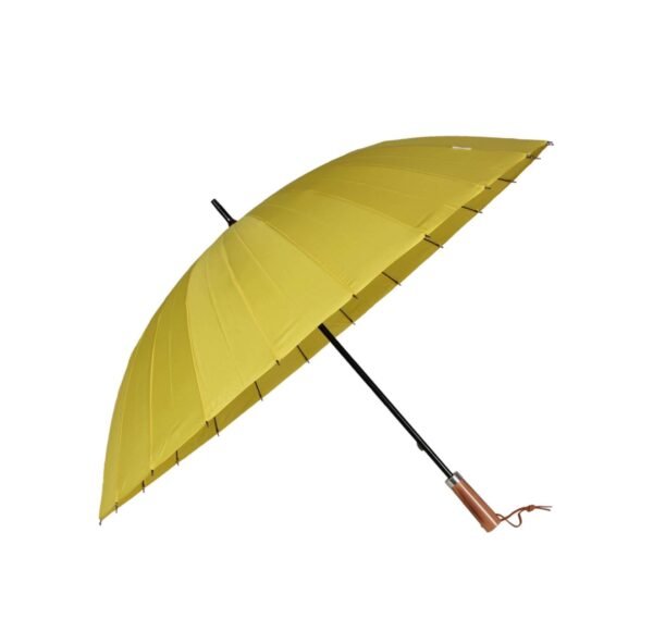 Umbrella - Image 4