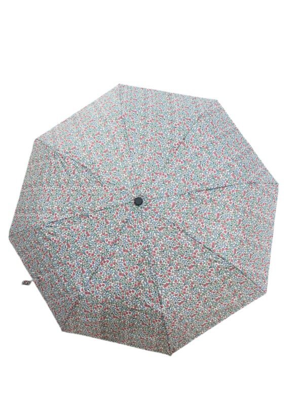 Fancy umbrella for girls